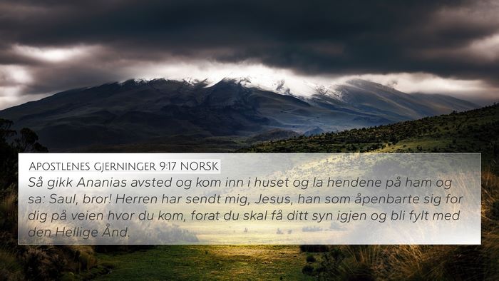 Apostlenes gjerninger 9:17 NORSK Bible Verse Image