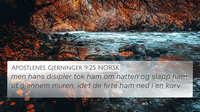 Apostlenes gjerninger 9:25 NORSK Bible Verse Image