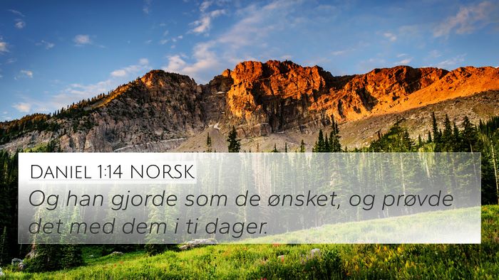 Daniel 1:14 NORSK 4K Wallpaper - Og han gjorde som de ønsket, og prøvde det med - 4K Wallpaper Bible Verse