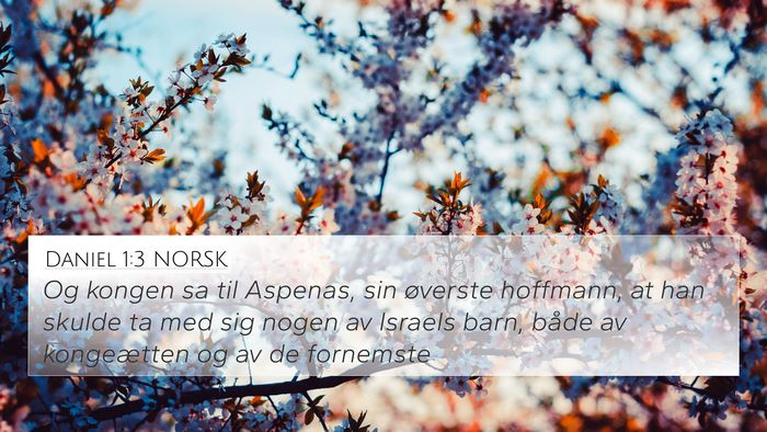 Daniel 1:3 NORSK 4K Wallpaper - Og kongen sa til Aspenas, sin øverste hoffmann, - 4K Wallpaper Bible Verse
