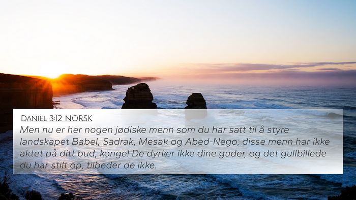 Daniel 3:12 NORSK Bible Verse Image