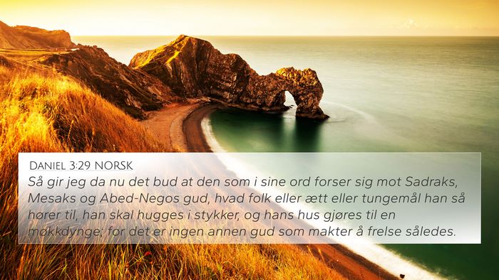 Daniel 3:29 NORSK Bible Verse Image