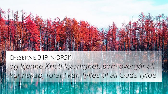 Efeserne 3:19 NORSK Bible Verse Image