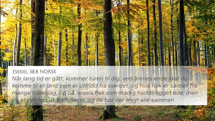 Esekiel 38:8 NORSK Bible Verse Image