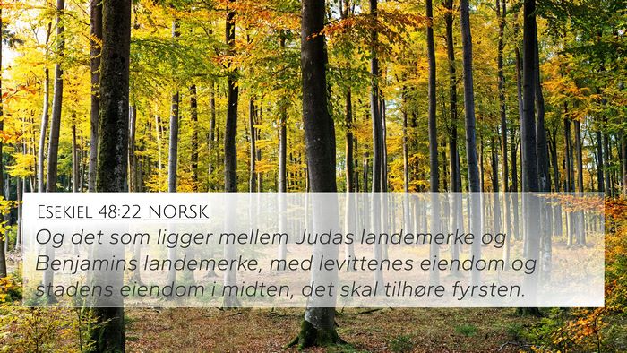 Esekiel 48:22 NORSK Bible Verse Image