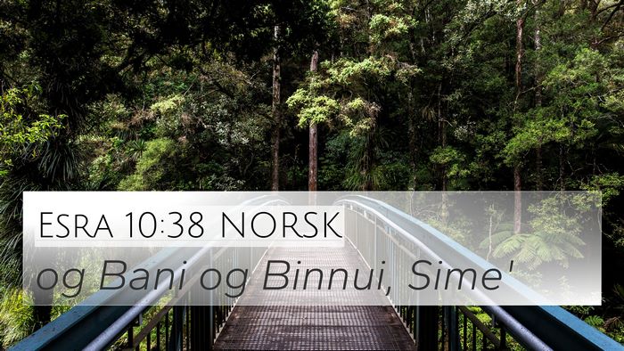 Esra 10:38 NORSK 4K Wallpaper - og Bani og Binnui, - 4K Wallpaper Bible Verse