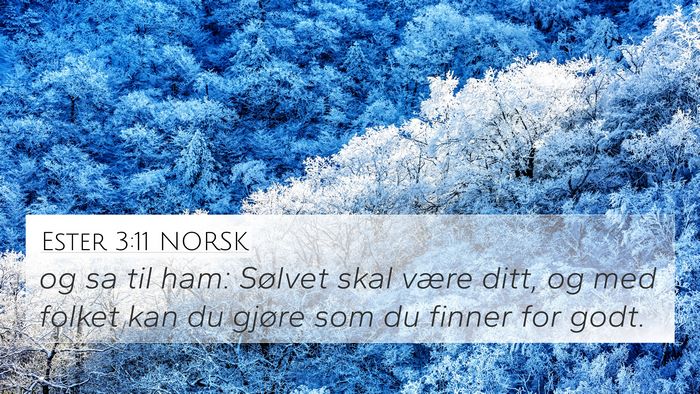 Ester 3:11 NORSK 4K Wallpaper - og sa til ham: Sølvet skal være ditt, og med - 4K Wallpaper Bible Verse
