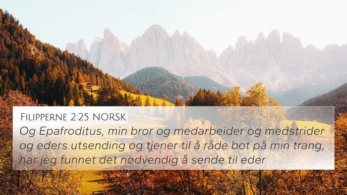 Filipperne 2:25 NORSK Bible Verse Image