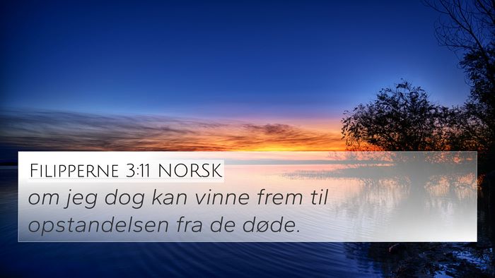 Filipperne 3:11 NORSK Bible Verse Image