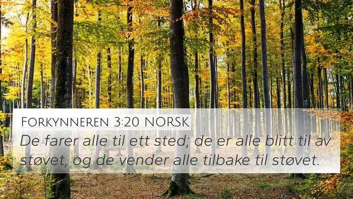 Forkynneren 3:20 NORSK Bible Verse Image