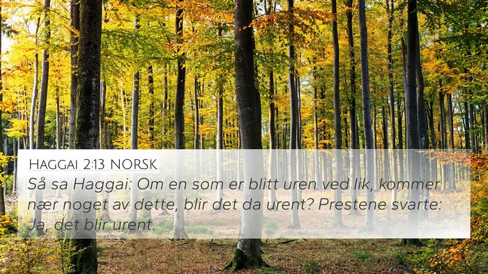 Haggai 2:13 NORSK Bible Verse Image