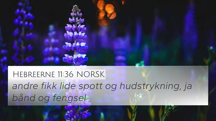 Hebreerne 11:36 NORSK Bible Verse Image