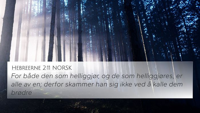 Hebreerne 2:11 NORSK Bible Verse Image
