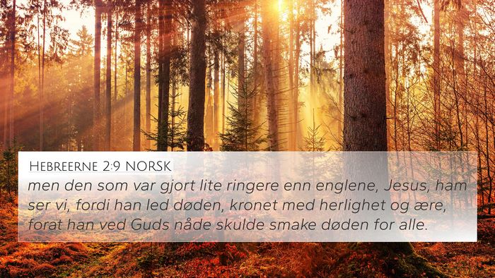 Hebreerne 2:9 NORSK Bible Verse Image