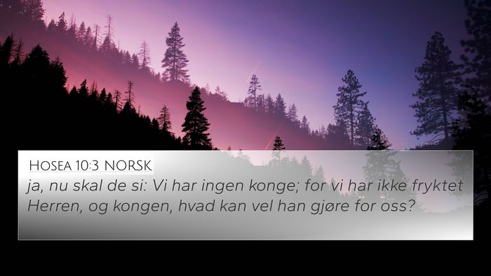 Hosea 10:3 NORSK 4K Wallpaper - ja, nu skal de si: Vi har ingen konge; for vi har - 4K Wallpaper Bible Verse