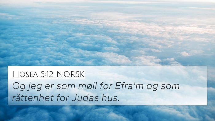 Hosea 5:12 NORSK Bible Verse Image