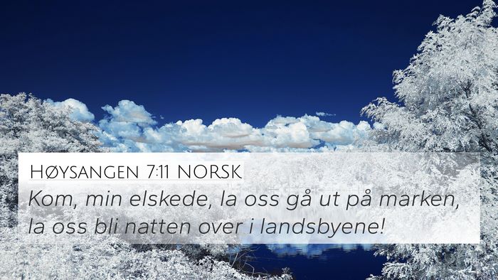 Høysangen 7:11 NORSK Bible Verse Image