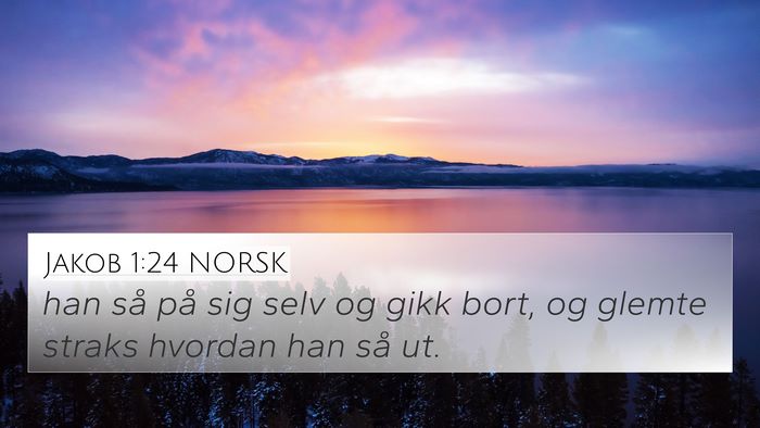 Jakob 1:24 NORSK 4K Wallpaper - han så på sig selv og gikk bort, og glemte - 4K Wallpaper Bible Verse
