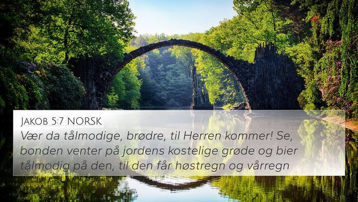 Jakob 5:7 NORSK Bible Verse Image