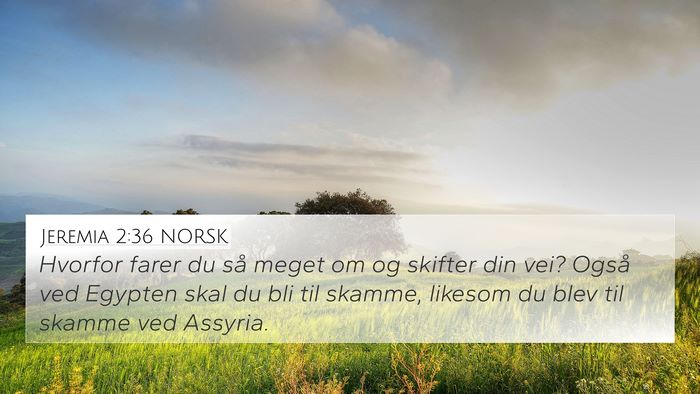 Jeremia 2:36 NORSK Bible Verse Image