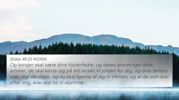 Jesaja 49:23 NORSK Bible Verse Image