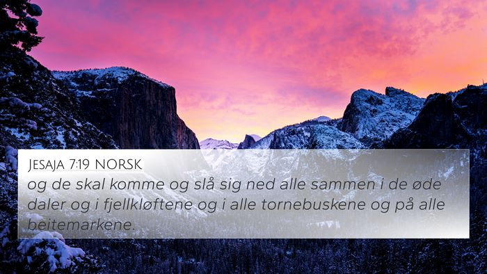 Jesaja 7:19 NORSK 4K Wallpaper - og de skal komme og slå sig ned alle sammen i de - 4K Wallpaper Bible Verse