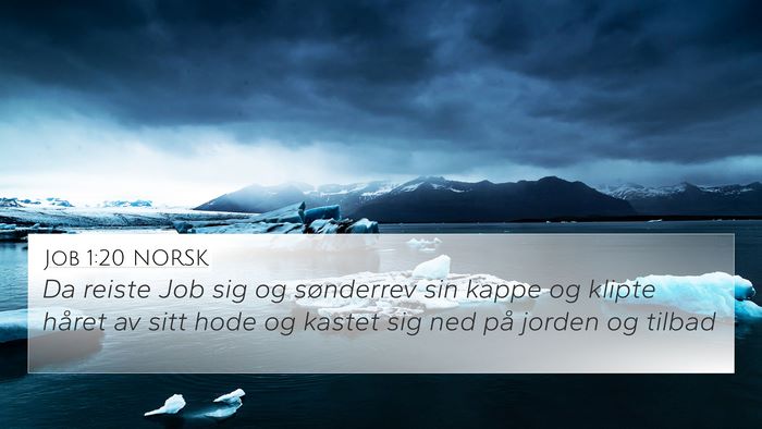 Job 1:20 NORSK Bible Verse Image