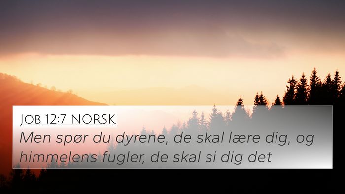 Job 12:7 NORSK 4K Wallpaper - Men spør du dyrene, de skal lære dig, og - 4K Wallpaper Bible Verse