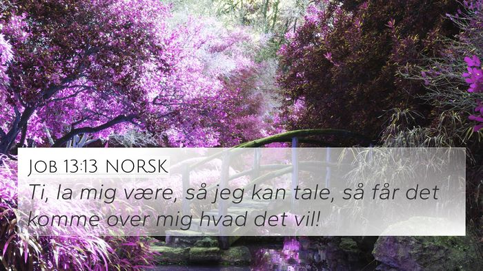 Job 13:13 NORSK Bible Verse Image