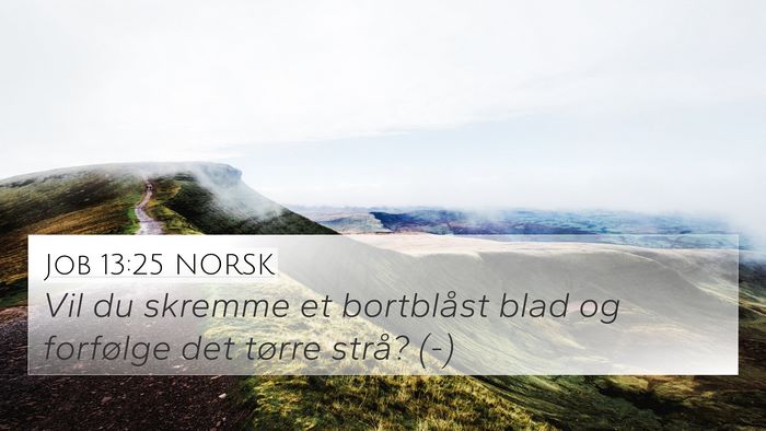 Job 13:25 NORSK Bible Verse Image