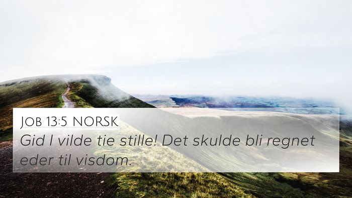 Job 13:5 NORSK Bible Verse Image