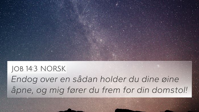 Job 14:3 NORSK Bible Verse Image
