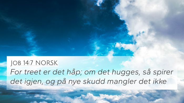 Job 14:7 NORSK Bible Verse Image