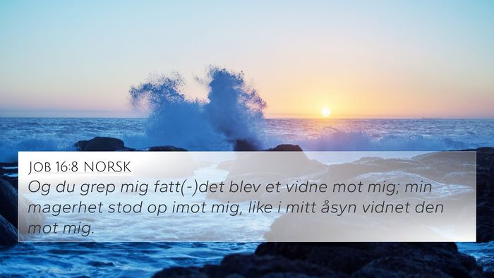 Job 16:8 NORSK Bible Verse Image