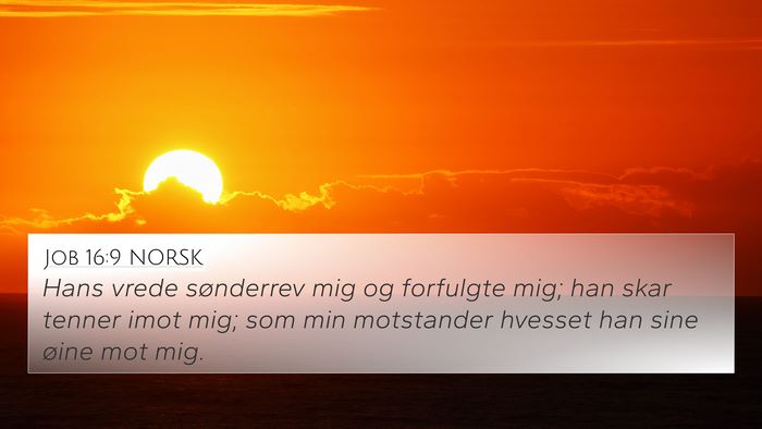 Job 16:9 NORSK Bible Verse Image