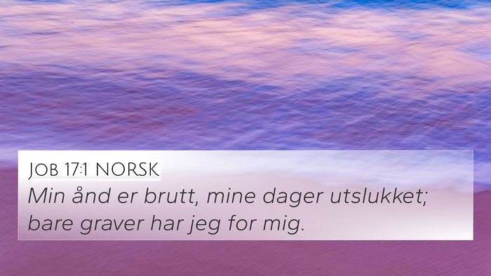 Job 17:1 NORSK Bible Verse Image