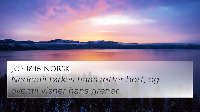 Job 18:16 NORSK Bible Verse Image