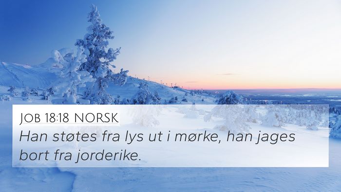 Job 18:18 NORSK Bible Verse Image
