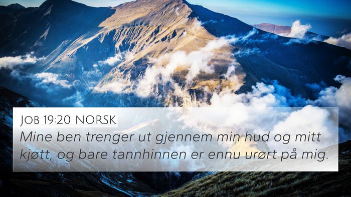 Job 19:20 NORSK Bible Verse Image