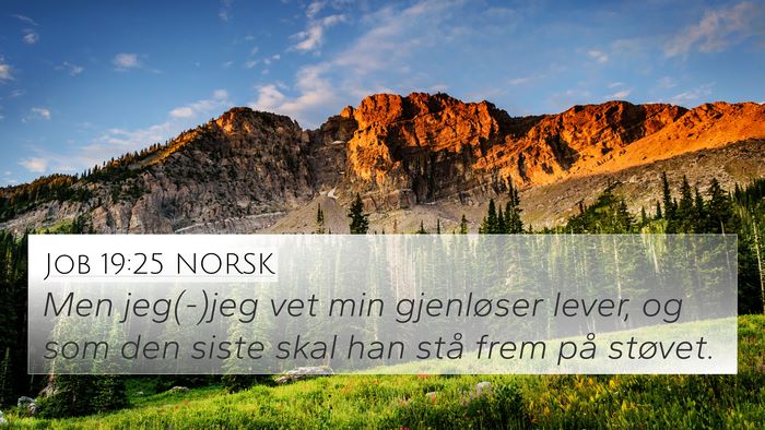 Job 19:25 NORSK Bible Verse Image