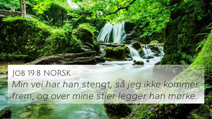 Job 19:8 NORSK Bible Verse Image