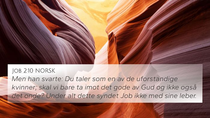 Job 2:10 NORSK Bible Verse Image