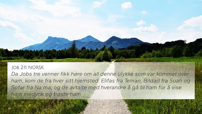 Job 2:11 NORSK Bible Verse Image