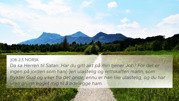 Job 2:3 NORSK Bible Verse Image
