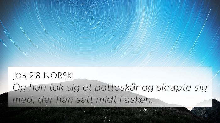 Job 2:8 NORSK Bible Verse Image