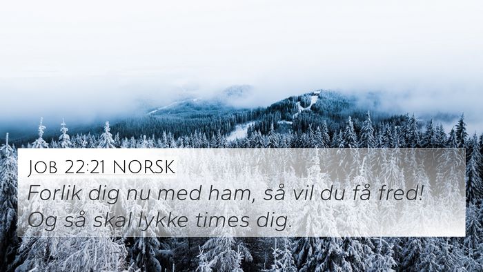 Job 22:21 NORSK Bible Verse Image