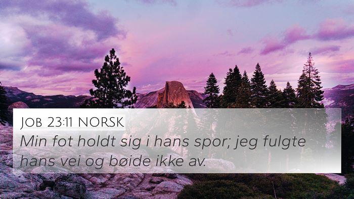 Job 23:11 NORSK Bible Verse Image