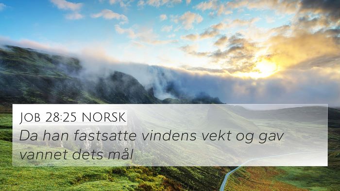 Job 28:25 NORSK Bible Verse Image