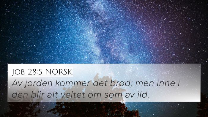 Job 28:5 NORSK Bible Verse Image