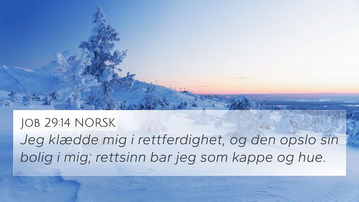 Job 29:14 NORSK Bible Verse Image